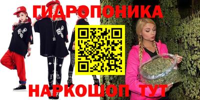 прущие грибы Можайск
